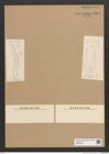 Diatomeae indet. Zeichnungen Sammlung Grunow Nr. 6604 (NHMW-BOT-W0375359)